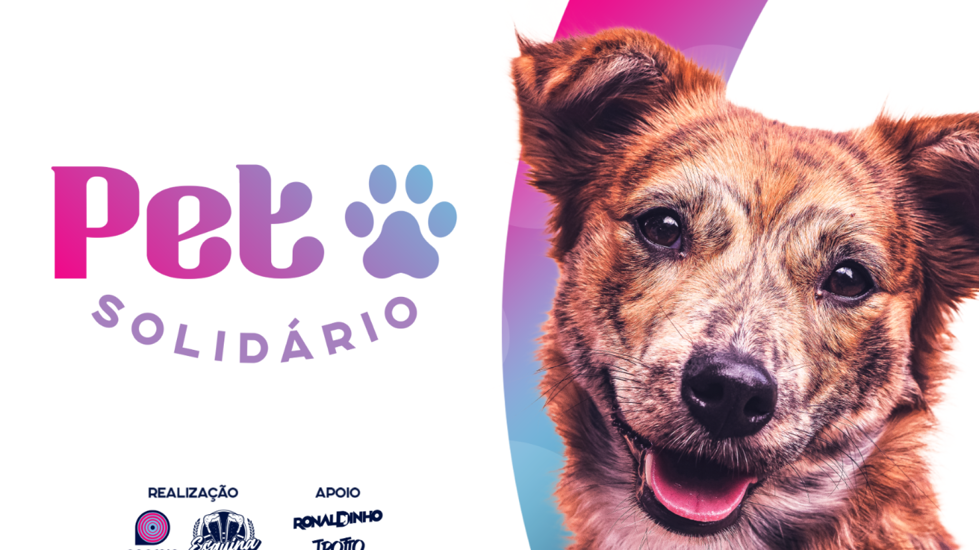 conte_do_petsolid_rio01_1x